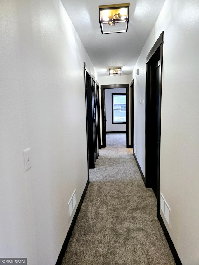 hallway featuring carpet flooring and visible vents