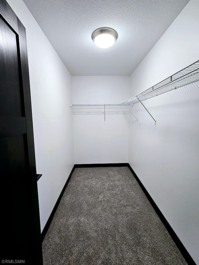 spacious closet with carpet floors