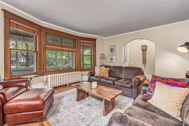 living room featuring radiator, plenty of natural light, arched walkways, and wood finished floors