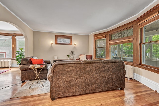 living area featuring ornamental molding, light wood-style flooring, and radiator