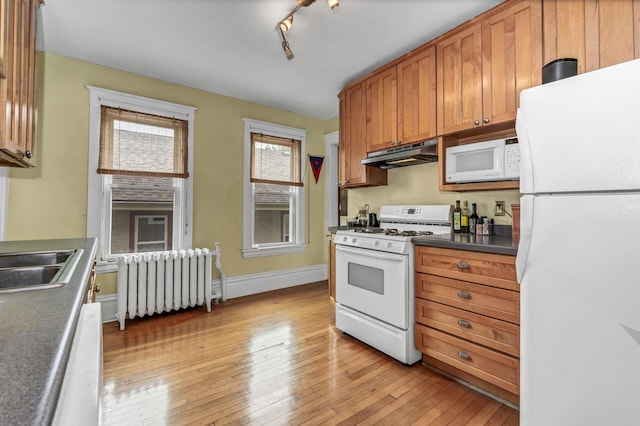 kitchen with brown cabinetry, radiator heating unit, under cabinet range hood, white appliances, and light wood-style flooring