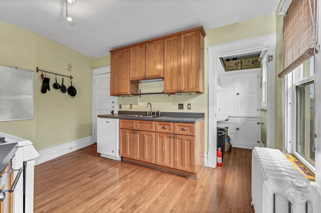 kitchen with dark countertops, white dishwasher, brown cabinets, a sink, and light wood-style flooring