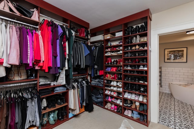 818 Summit Ave, Saint Paul, MN 55105 - view of spacious closet