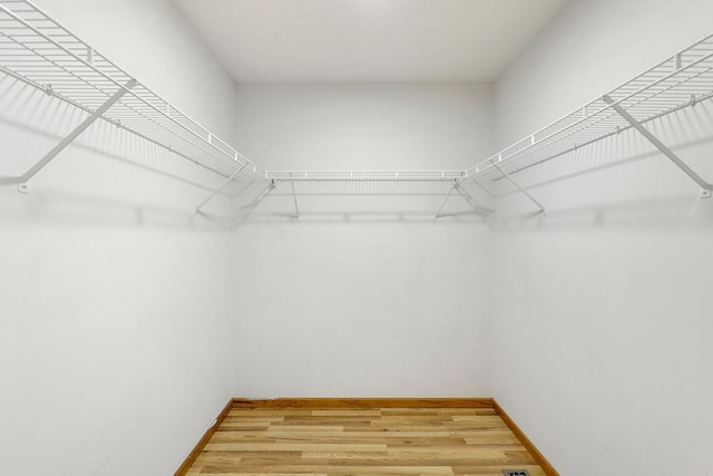 8722 Norway St NW, Coon Rapids, MN 55433 - spacious closet featuring light wood-style flooring