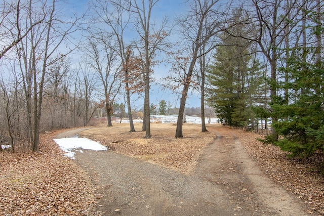 view of yard featuring a water view