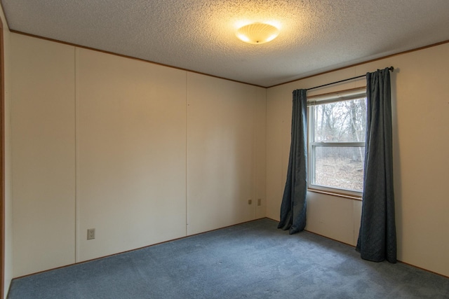carpeted spare room with a textured ceiling and crown molding