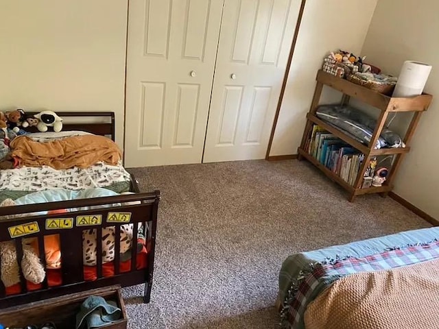 408 Lyon Ave, Lake City, MN 55041 - bedroom featuring carpet floors, a closet, and baseboards