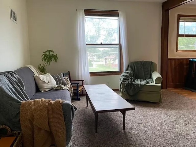 408 Lyon Ave, Lake City, MN 55041 - living area featuring visible vents