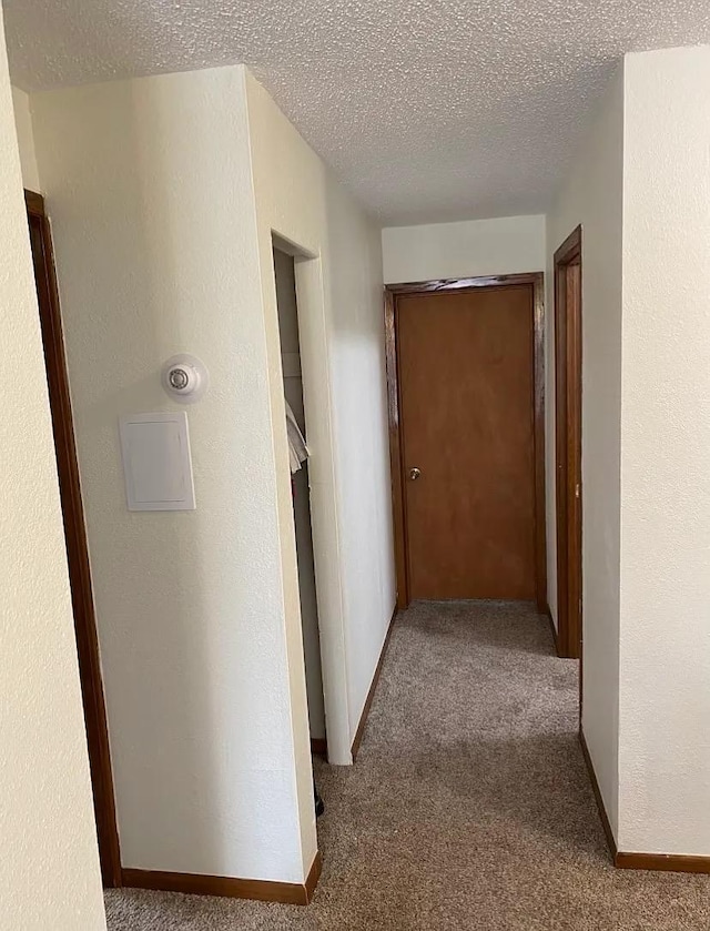 408 Lyon Ave, Lake City, MN 55041 - hall featuring carpet and a textured ceiling