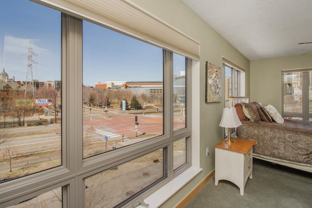 240 Spring St Unit 331, Saint Paul, MN 55102 - bedroom with baseboards and carpet