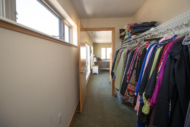 240 Spring St Unit 331, Saint Paul, MN 55102 - spacious closet featuring carpet floors