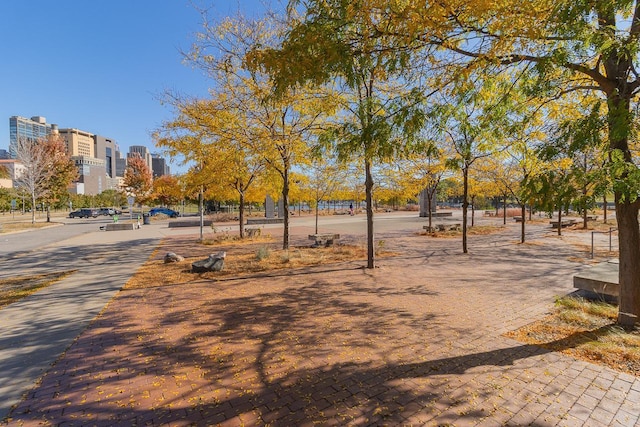 240 Spring St Unit 331, Saint Paul, MN 55102 - view of community