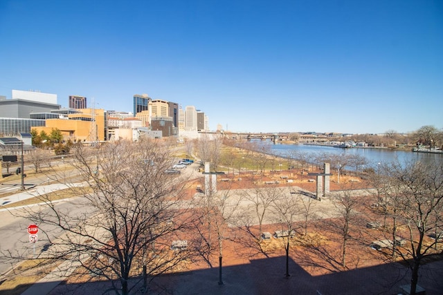 240 Spring St Unit 331, Saint Paul, MN 55102 - property view of water with a city view