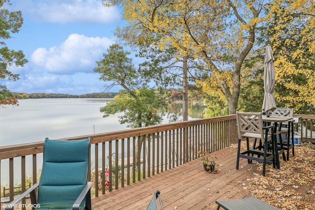 11745 42nd St SE, Palmer Twp, MN 55319 - photo 29