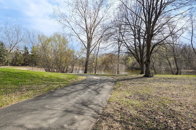 view of road with a view of trees