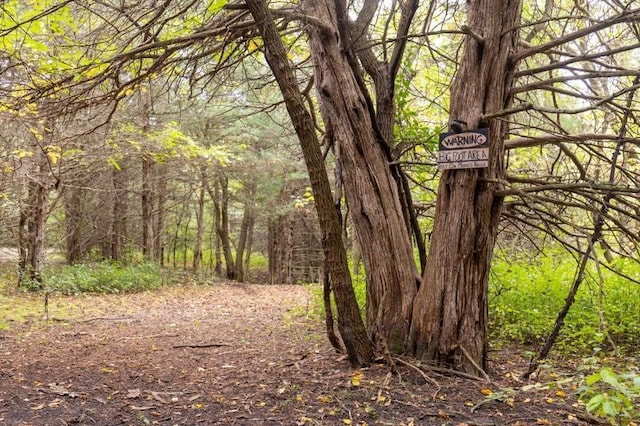 view of landscape featuring a wooded view
