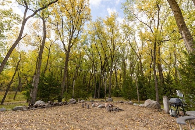 view of nature featuring a wooded view