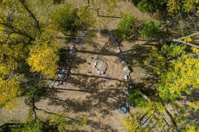 bird's eye view