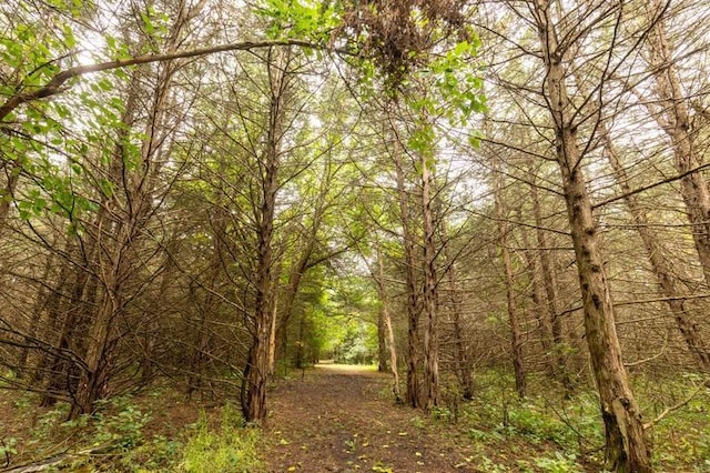 view of local wilderness featuring a wooded view