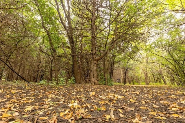 view of landscape featuring a view of trees