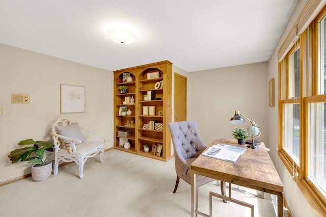 2233 Valley View Pl, Saint Paul, MN 55119 - photo 21