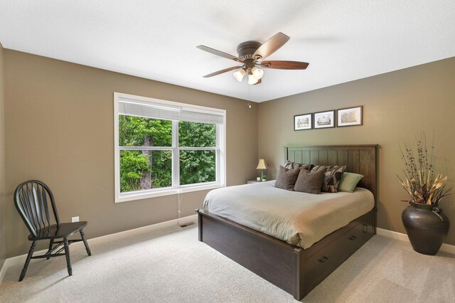 12566 Xylite St NE, Blaine, MN 55449 - bedroom with light carpet, baseboards, and a ceiling fan