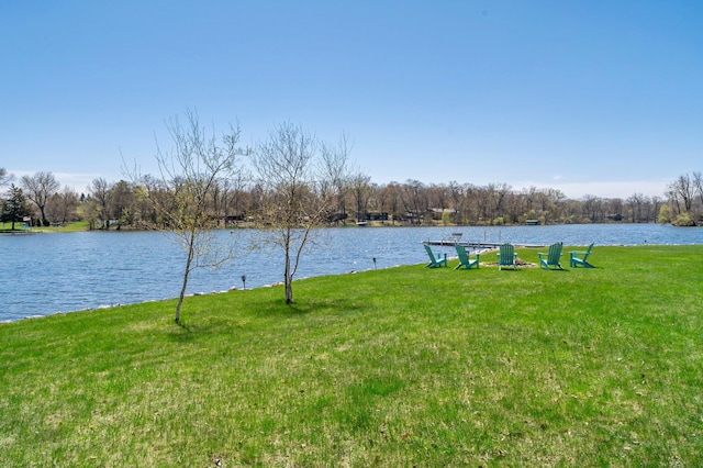 12329 Timber Ln, Maple Grove, MN 55369 - water view