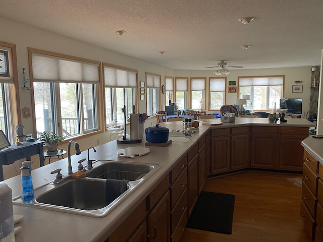 kitchen featuring wood finished floors, a sink, a textured ceiling, ceiling fan, and light countertops
