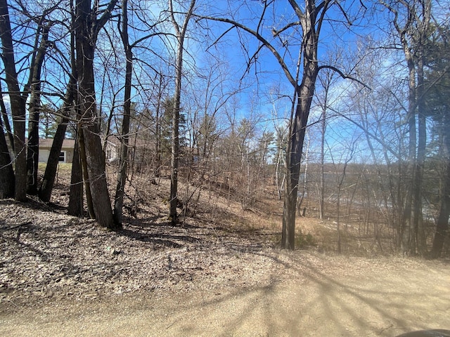 view of local wilderness