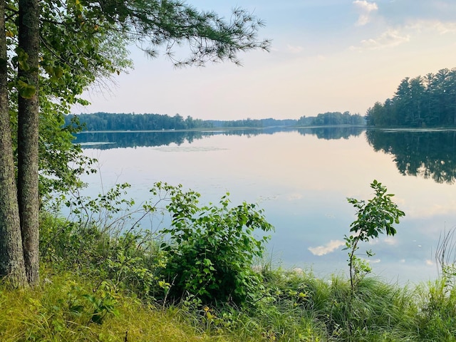 property view of water featuring a forest view