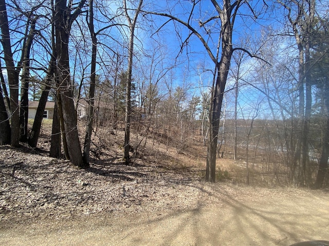 25006 Great Pine Dr, Mantrap Twp, MN 56467 - photo 24