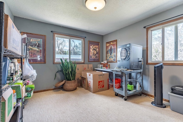 918 Division St, Elbow Lake, MN 56531 - recreation room with carpet flooring, baseboards, and a textured ceiling
