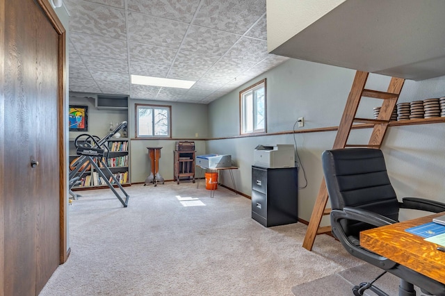 918 Division St, Elbow Lake, MN 56531 - carpeted office space featuring plenty of natural light and baseboards