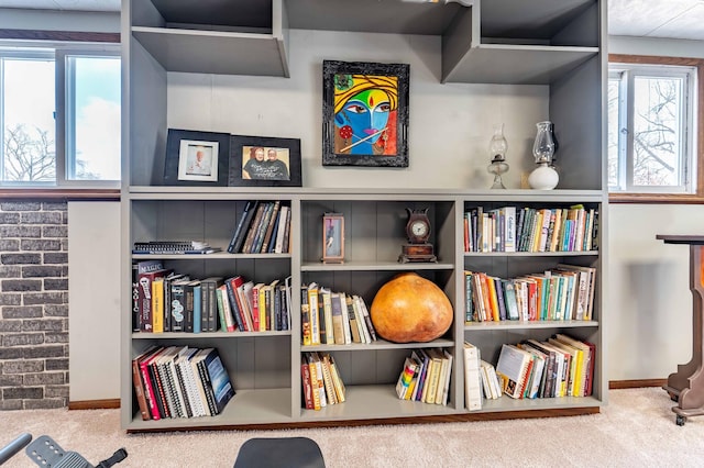 918 Division St, Elbow Lake, MN 56531 - living area featuring carpet and baseboards