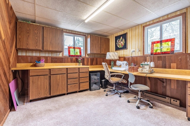 918 Division St, Elbow Lake, MN 56531 - office space featuring light colored carpet, wood walls, and a drop ceiling