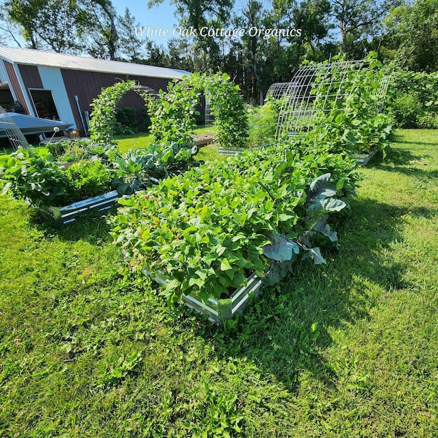 918 Division St, Elbow Lake, MN 56531 - view of green lawn featuring a garden