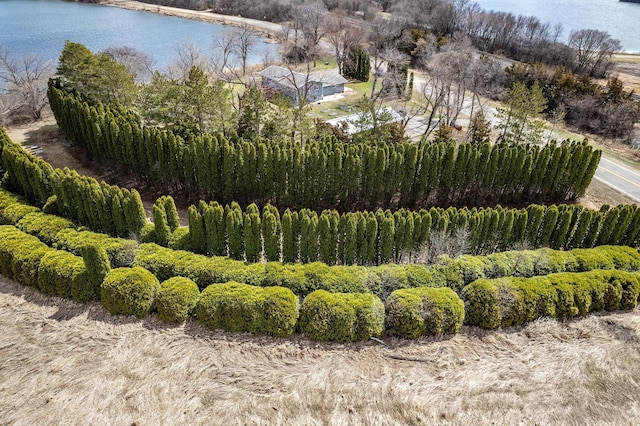 918 Division St, Elbow Lake, MN 56531 - aerial view of a large body of water