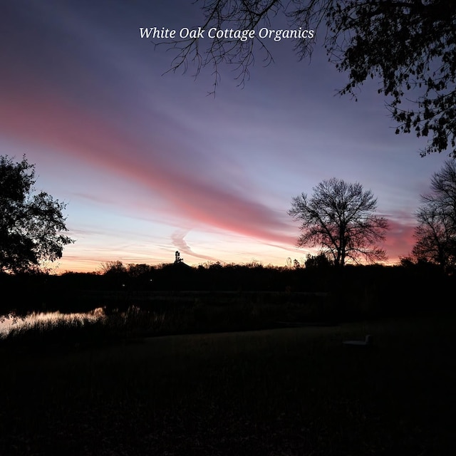 918 Division St, Elbow Lake, MN 56531 - water view