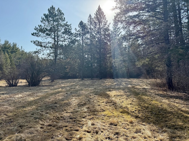 view of yard featuring a forest view