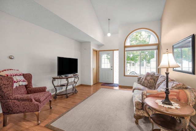 12626 43rd St NE, Saint Michael, MN 55376 - living room featuring light wood finished floors, high vaulted ceiling, and baseboards