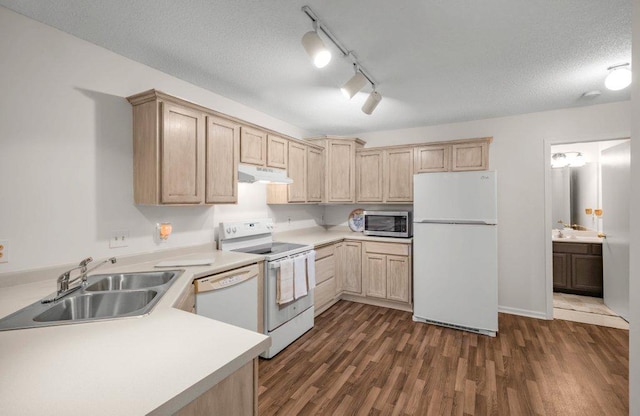 12626 43rd St NE, Saint Michael, MN 55376 - kitchen featuring white appliances, a sink, under cabinet range hood, light brown cabinets, and dark wood-type flooring
