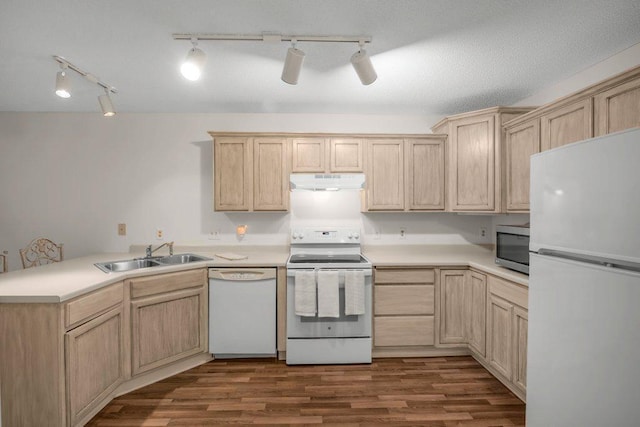 12626 43rd St NE, Saint Michael, MN 55376 - kitchen with white appliances, a sink, under cabinet range hood, and light brown cabinets