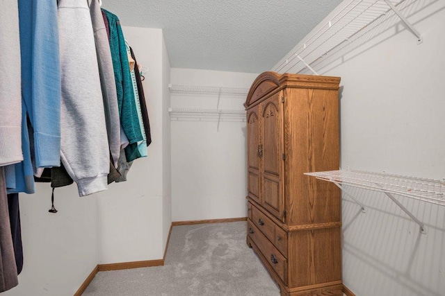 12626 43rd St NE, Saint Michael, MN 55376 - walk in closet featuring light carpet