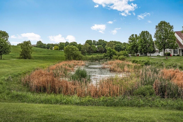 12626 43rd St NE, Saint Michael, MN 55376 - view of yard featuring a water view
