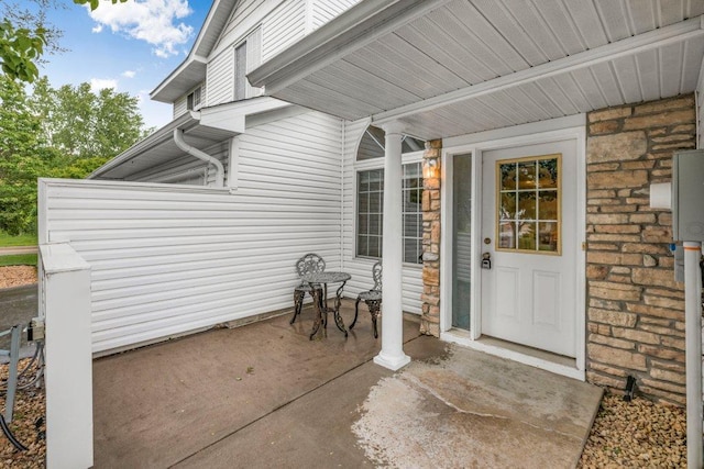 12626 43rd St NE, Saint Michael, MN 55376 - property entrance featuring stone siding