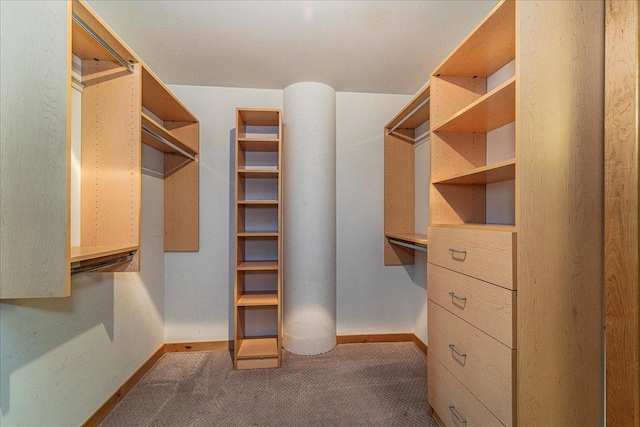 401 2nd St N Unit 220, Minneapolis, MN 55401 - walk in closet featuring carpet floors