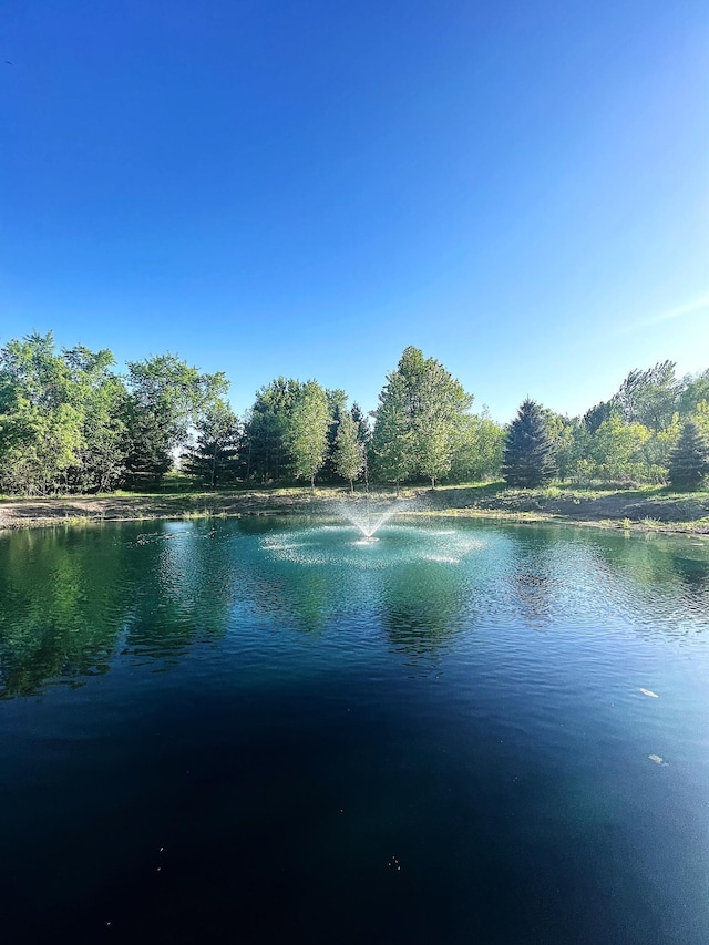 11460 Eagle Creek Ln, Rogers, MN 55374 - water view