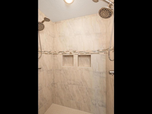 11460 Eagle Creek Ln, Rogers, MN 55374 - full bath with a tile shower and a textured ceiling