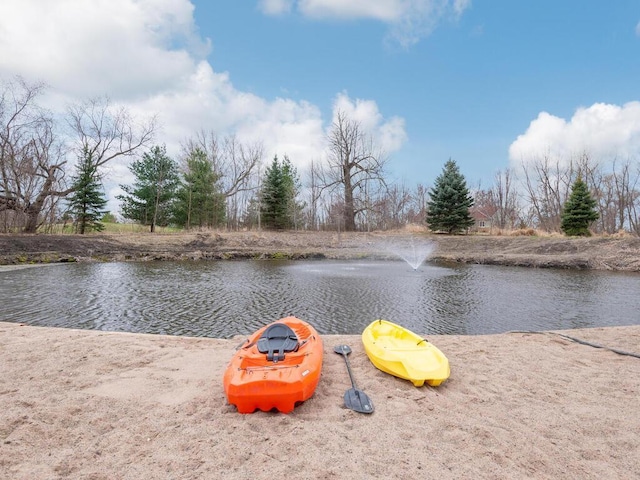 11460 Eagle Creek Ln, Rogers, MN 55374 - water view