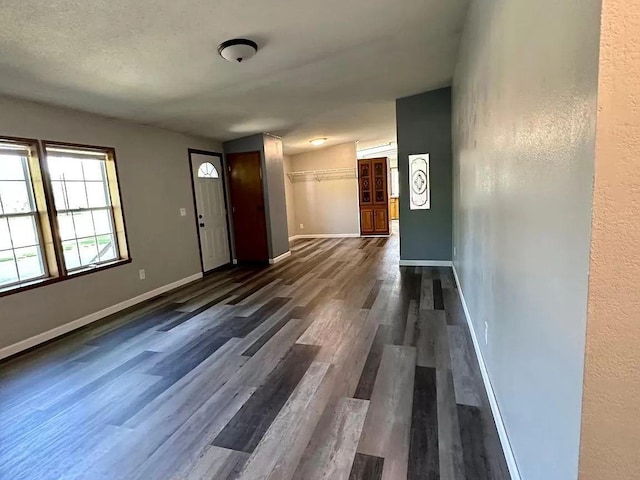 720 2nd St E, Lake Lillian, MN 56253 - entrance foyer featuring baseboards, a textured wall, and dark wood-style floors